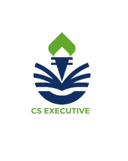 CS EXECUTIVE icon