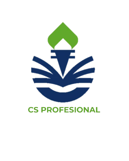 CS PROFESSIONAL icon